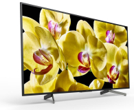 Sony KD-49XG8096 - 507598 - zdjęcie 2